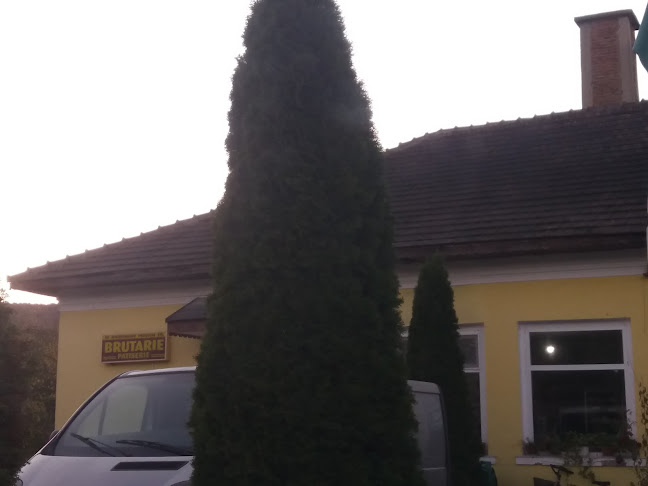 Opinii despre Brutăria Stejari în Stejari - Gastronomie și ospitalitate