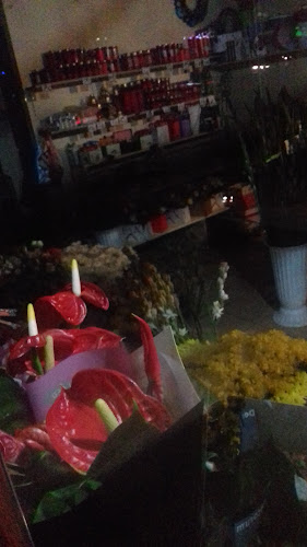 Opinii despre Florăria Severineanu în Drobeta-Turnu Severin - Gastronomie și ospitalitate