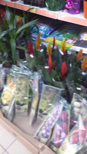 Comentarii opinii despre Piaţa Agroalimentară Centrală