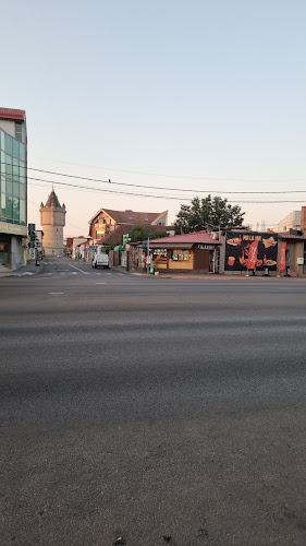 Petruț - Drobeta-Turnu Severin