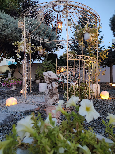 White House - Gastronomie și ospitalitate