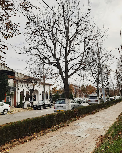 Comentarii opinii despre Cocosul Negru