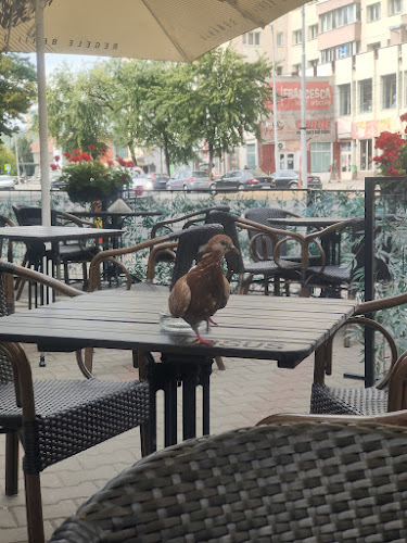 Opinii despre Pizzamania în Bistrița - Gastronomie și ospitalitate