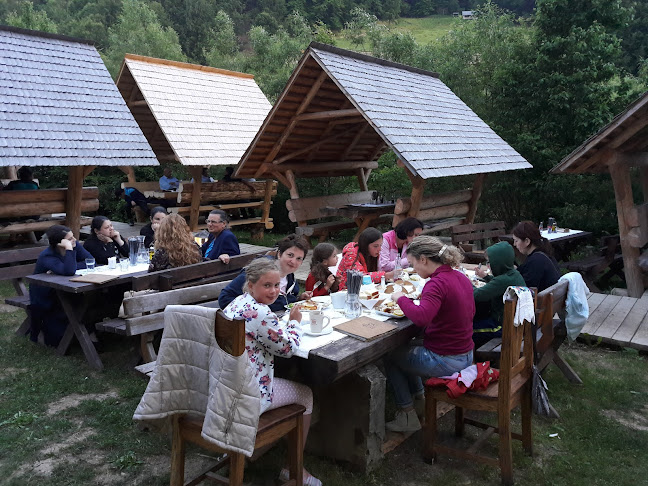 Comentarii opinii despre Păstrăvăria Alex