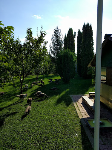 E574, 44.9232086,24.8431506, DN73, Argeșelu 117451