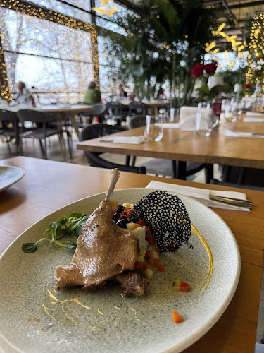 Opinii despre Restaurant Pescăruș în București - Gastronomie și ospitalitate