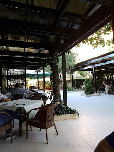 Comentarii opinii despre Restaurant Dumbrava Călărași