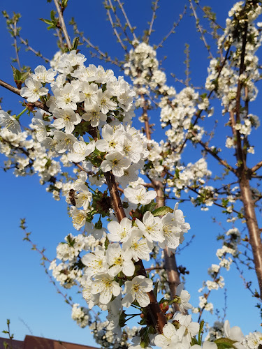 strada principala 441 bis incinta sagricom, Târgoviște 137455