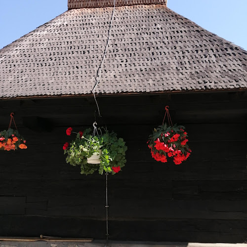 Comentarii opinii despre Brutărie