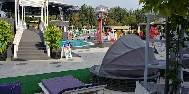 D'all Class - Călărași