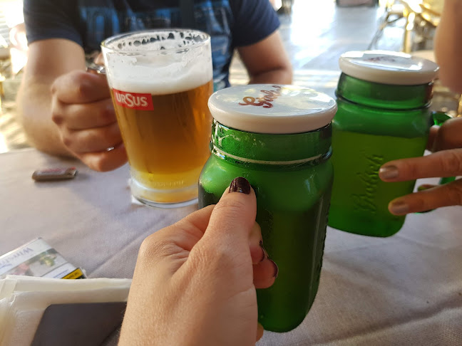 Opinii despre Restaurantul Domnesc în Curtea de Argeș - Gastronomie și ospitalitate