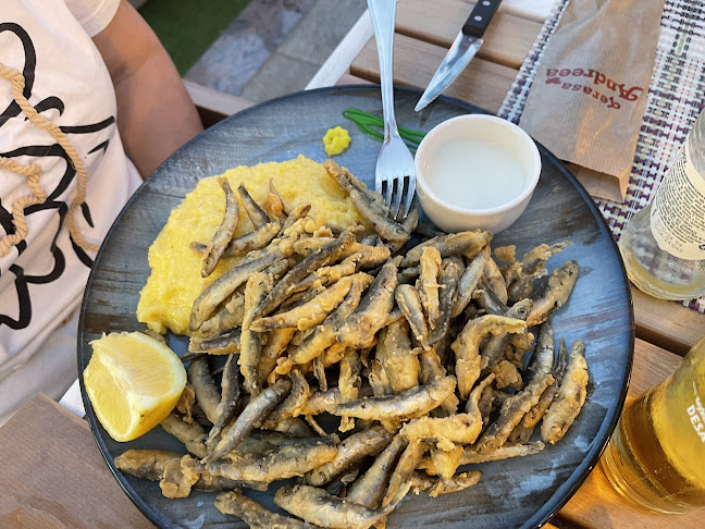 Comentarii opinii despre Terasa Andreea