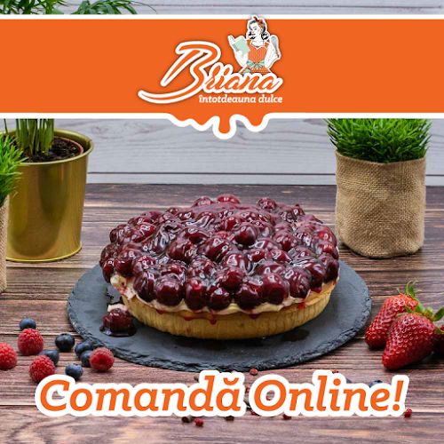 Strada Transilvaniei Nr. 333, Buzău 120164