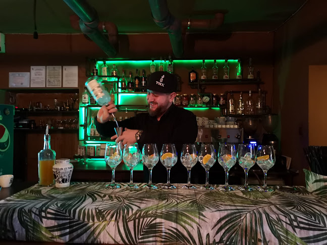 Zeppelin Pub - Gastronomie și ospitalitate