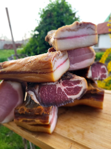 Strada Constantin Dobrogeanu Gherea 65, Timișoara 300438