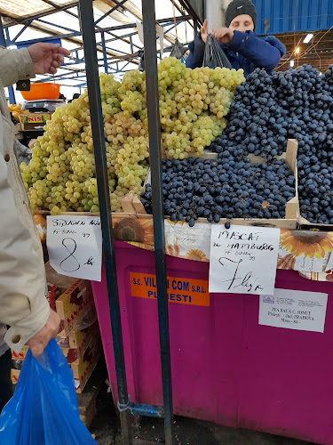 Comentarii opinii despre Piața Centrală