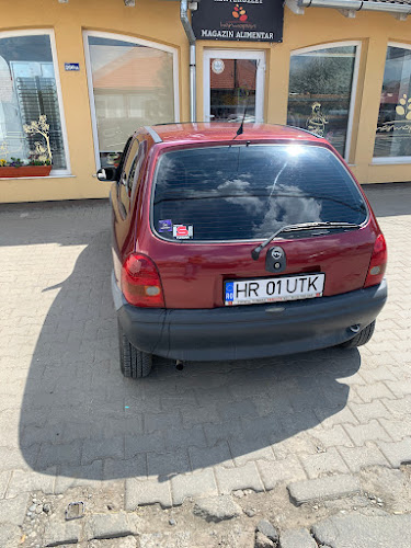 Comentarii opinii despre Magazin de pâine Harmopan