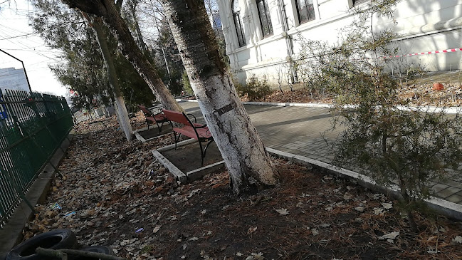 Opinii despre Restaurantul Buburuza🐞 în Călărași - Gastronomie și ospitalitate