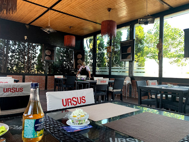 Comentarii opinii despre Berthelot