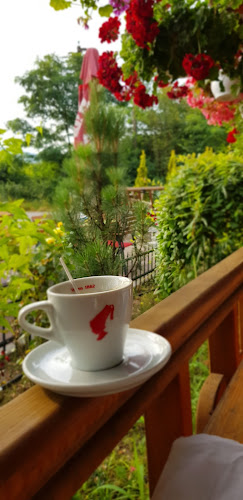 Hotel Restaurant Carul cu Flori - Oravița