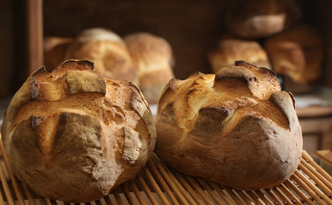 Brutăria din Sat - Gastronomie și ospitalitate