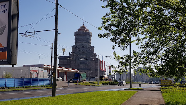 Strada Macului 10, Baia Mare 430391