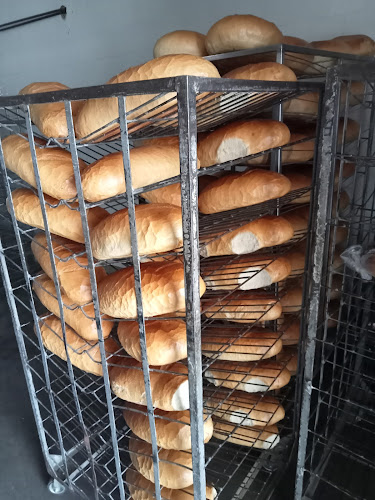 NICOLA SABB S.R.L. - Pâncota