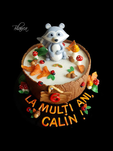 Calea Chișinăului nr. 29, Iași 700177