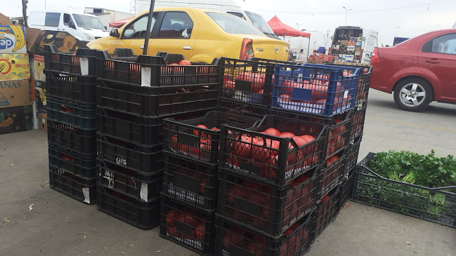 TARG DE LEGUME, FRUCTE SI FLORI - București