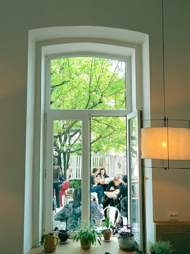 Comentarii opinii despre Cuib