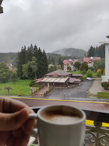 Bulevardul Mihail Săulescu 28, Predeal 505300