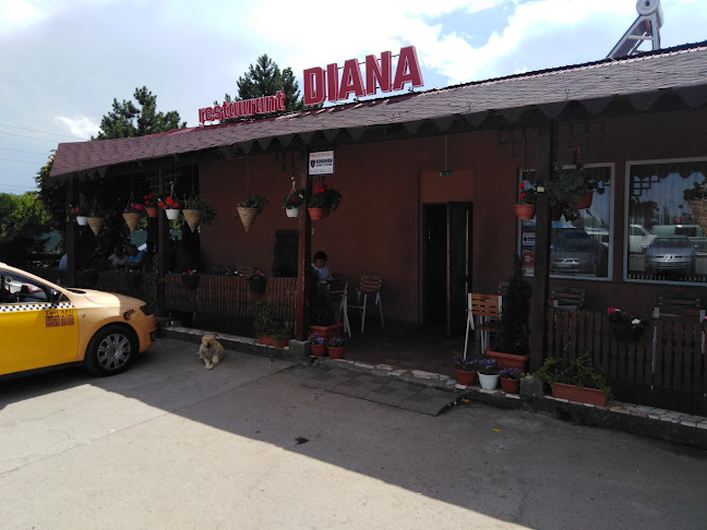 Restaurant Diana - Gastronomie și ospitalitate