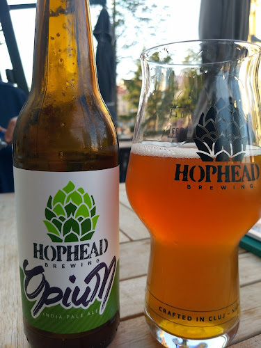 Comentarii opinii despre Bujole