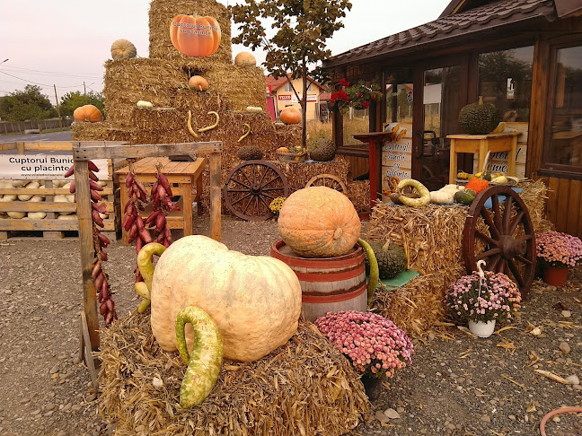 Cuptorul Bunicii - Zilişteanca
