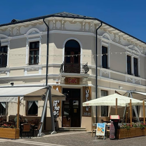 Opinii despre Restaurant Ardelenesc Oșanu în Craiova - Gastronomie și ospitalitate