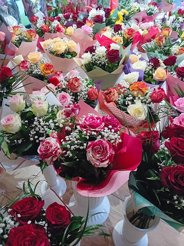 Opinii despre Floraria Anotimp în Hunedoara - Gastronomie și ospitalitate