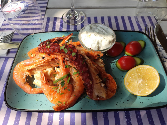 Blue Aqua - Gastronomie și ospitalitate