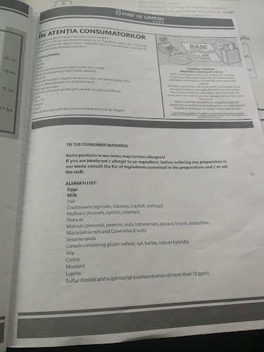 Podu' cu lanțuri - Bacău