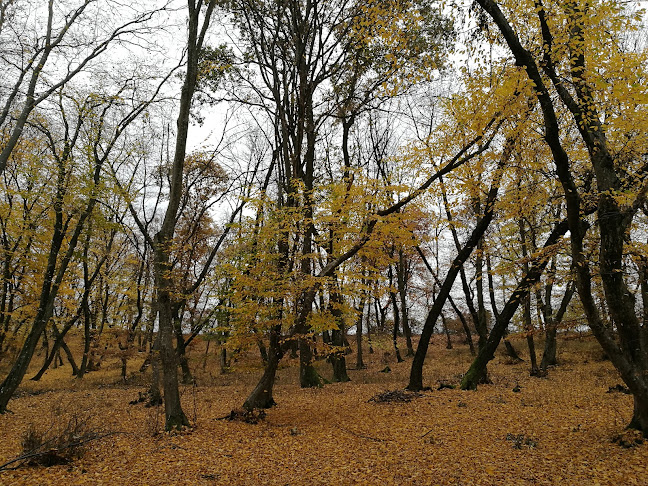 Restaurant Regal - Baciu