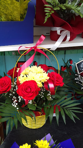 Agroprestservice - Gastronomie și ospitalitate