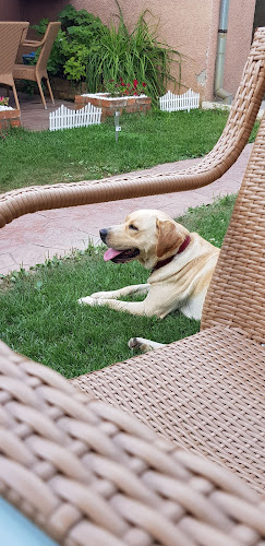 Breda Caffe & Car Wash - Oradea