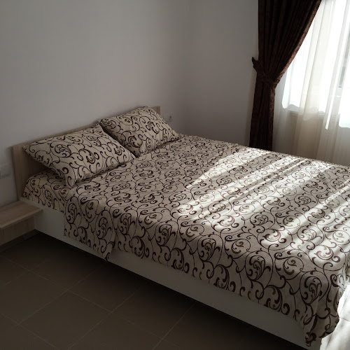 Comentarii opinii despre Royal 60