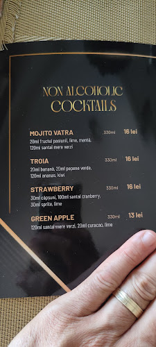 Opinii despre Vatra Romană în Răcarii de Jos - Gastronomie și ospitalitate