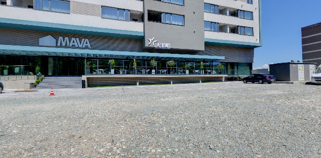 Comentarii opinii despre dasKino