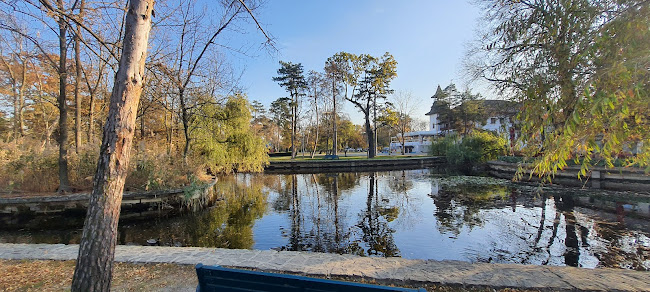 Parcul "Crâng", Buzău 120252