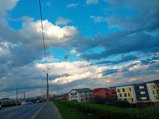 Comentarii opinii despre Piața Agroalimentară IRA