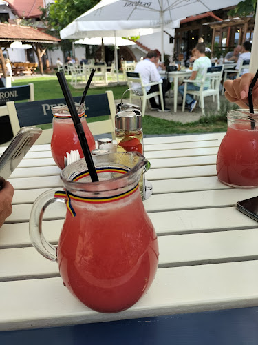 Comentarii opinii despre Hanul Teilor