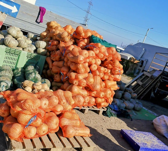 Comentarii opinii despre Piata De Gross Constanta