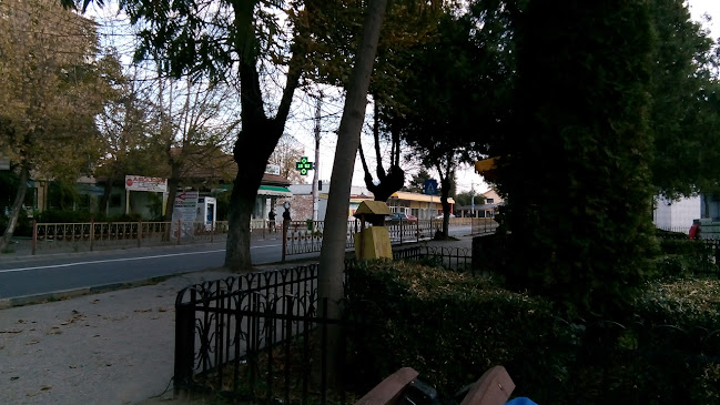 Comentarii opinii despre La Farfuria