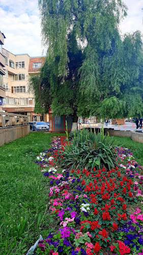 Strada Antonius Caracalla, Caracal 235200